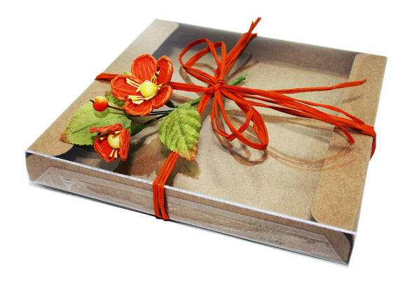 caja_ECO_1